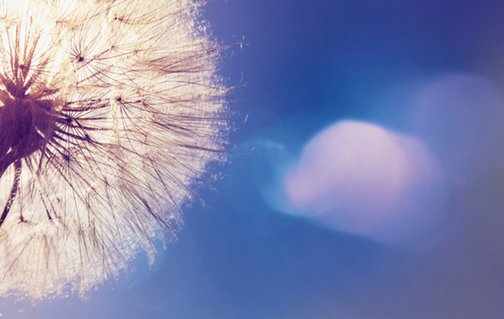 南宫NG28相信品牌的实力网址(中国)官网